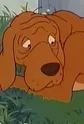 Dog (Bremen)