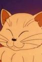 Gambar Karakter Octo-Cat