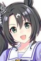 Satono Crown Image
