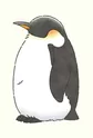 Adult Penguin-san
