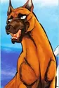 Ken