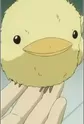 Hibird
