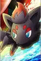 Zorua