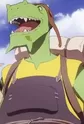 Ki-Kima