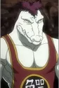 Alligator