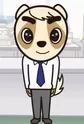 Anai