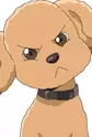 Singe