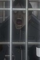 Doi, Tetsutaro Image
