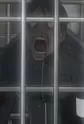 Doi, Tetsutaro