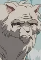 Wolf Elder