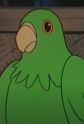 Gambar Karakter Parrot