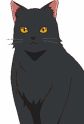 Anko-san Image