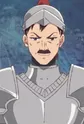 Vice Captain of the Knights