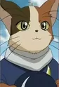 Tomekichi