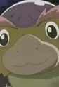 Bongo