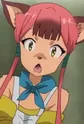 Meia