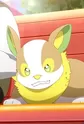 Wanpachi