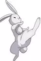 Usagi