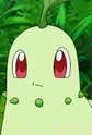 Chikorita