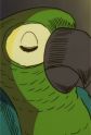 Gambar Karakter Navigator's Parrot