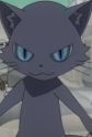 Gambar Karakter Leader Cat