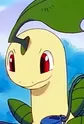 Bayleef