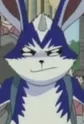Parusukohn
