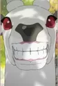 Shiroi Shika