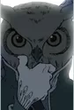 Owl Man