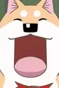 Muco