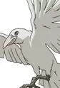 Huginn