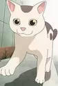 Gin