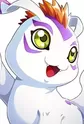 Gomamon