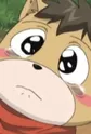 Kobold