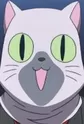 Siamese Cat