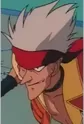 Jackal Head