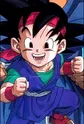 Son, Gokuu Jr.