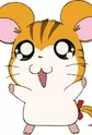 Torahamu-chan