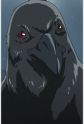 Crow Image