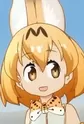 Serval