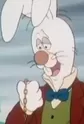 White Rabbit