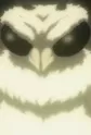 Moth