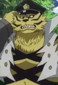 Tiger Hero