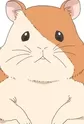 Hamchan