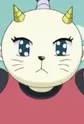 Purupu