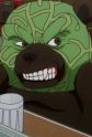 Melon Bear