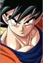 Son, Gokuu