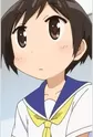 Hasegawa, Fumi