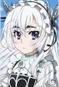 Trabant, Chaika