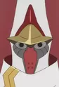 Fukushuseki
